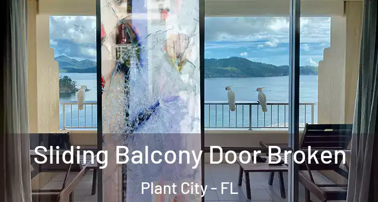 Sliding Balcony Door Broken Plant City - FL