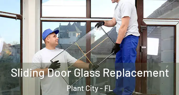 Sliding Door Glass Replacement Plant City - FL