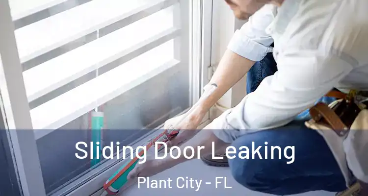 Sliding Door Leaking Plant City - FL