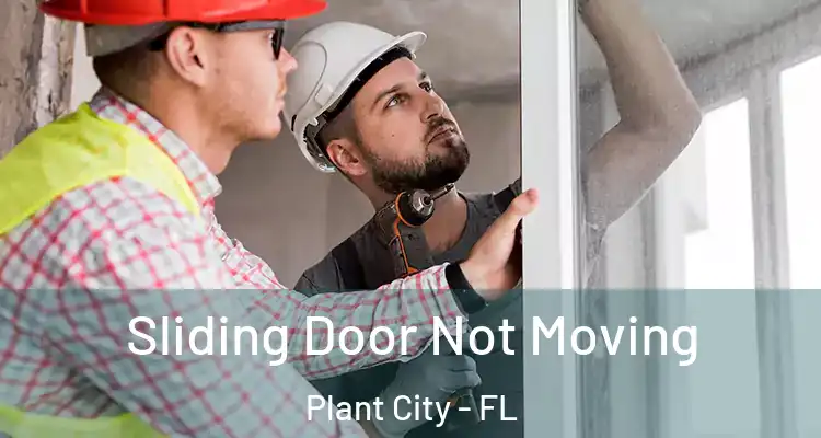  Sliding Door Not Moving Plant City - FL