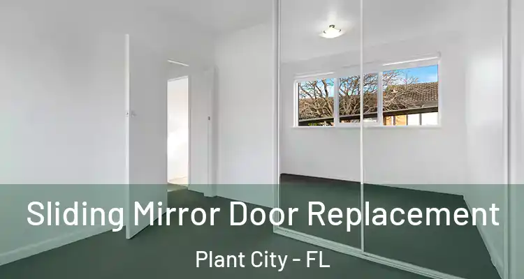 Sliding Mirror Door Replacement Plant City - FL