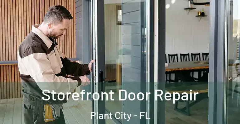 Storefront Door Repair Plant City - FL