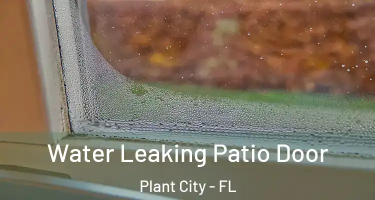 Water Leaking Patio Door Plant City - FL