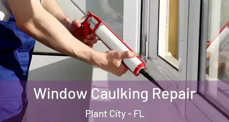 Window Caulking Repair Plant City - FL