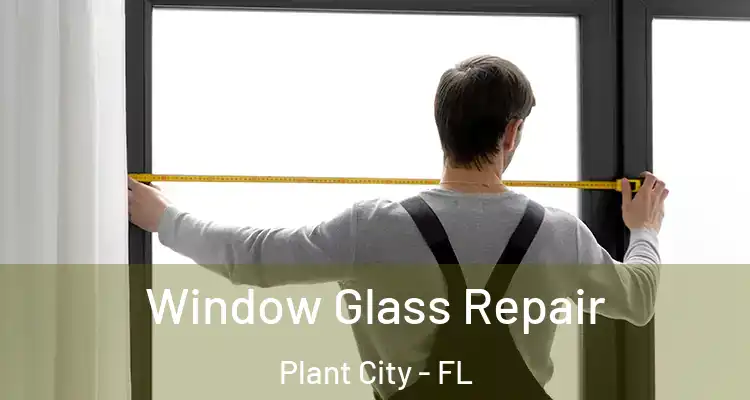 Window Glass Repair Plant City - FL