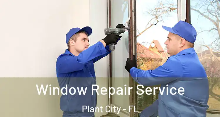 Window Repair Service Plant City - FL