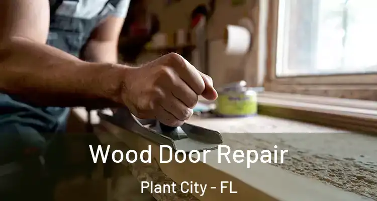  Wood Door Repair Plant City - FL